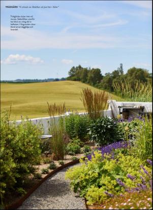 levaochbo-20200710_000_00_00_054.pdf