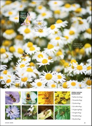 levaochbo-20200710_000_00_00_061.pdf