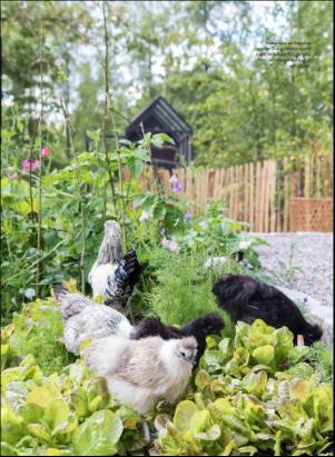 levaochbo-20200717_000_00_00_044.pdf