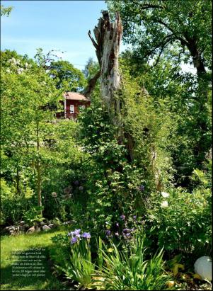 levaochbo-20200717_000_00_00_051.pdf