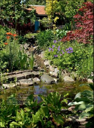 levaochbo-20200717_000_00_00_056.pdf