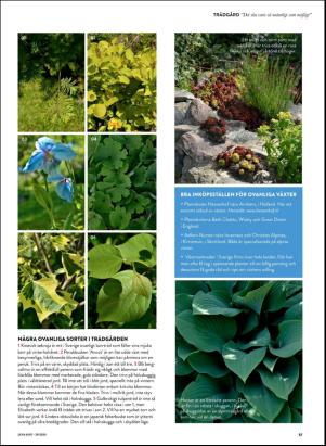 levaochbo-20200717_000_00_00_057.pdf