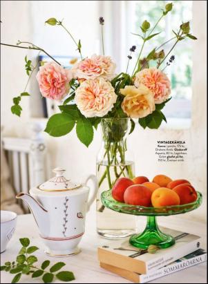 levaochbo-20200724_000_00_00_021.pdf