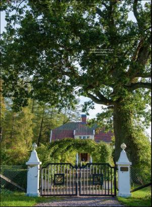 levaochbo-20200724_000_00_00_065.pdf