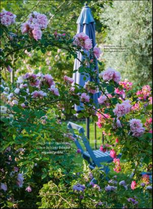 levaochbo-20200724_000_00_00_066.pdf