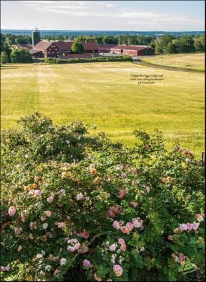 levaochbo-20200724_000_00_00_068.pdf