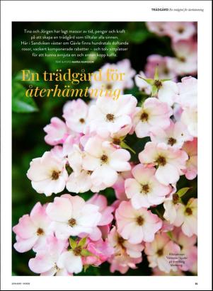 levaochbo-20200731_000_00_00_035.pdf