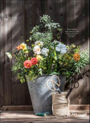 levaochbo-20200731_000_00_00_055.pdf