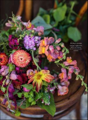 levaochbo-20200731_000_00_00_056.pdf