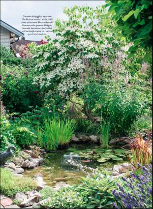 levaochbo-20200807_000_00_00_043.pdf