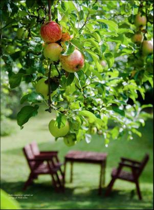 levaochbo-20200814_000_00_00_041.pdf