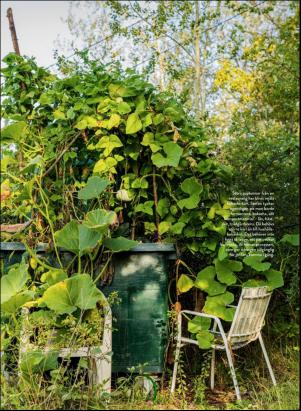 levaochbo-20200814_000_00_00_056.pdf