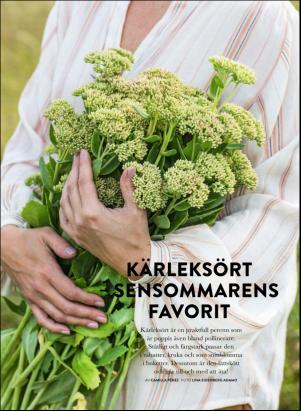 levaochbo-20200821_000_00_00_046.pdf