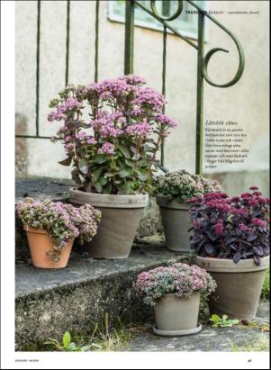 levaochbo-20200821_000_00_00_047.pdf