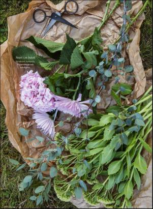 levaochbo-20200821_000_00_00_051.pdf