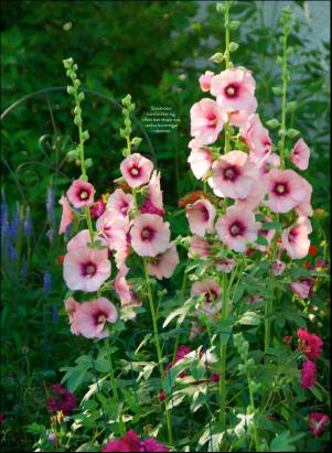 levaochbo-20200821_000_00_00_063.pdf