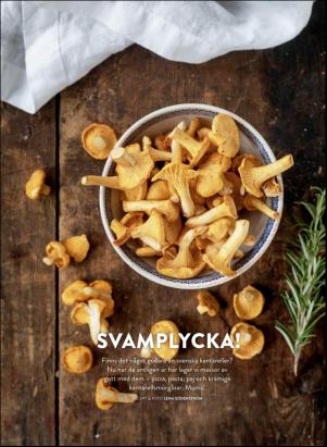 levaochbo-20200828_000_00_00_070.pdf