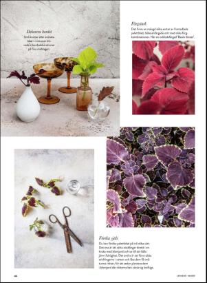 levaochbo-20200904_000_00_00_046.pdf