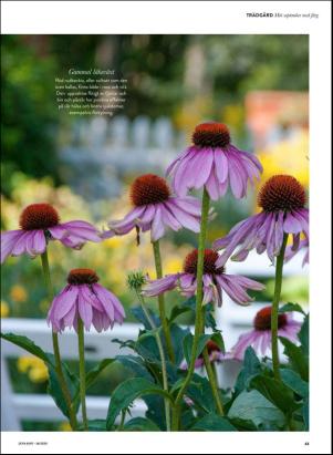 levaochbo-20200904_000_00_00_063.pdf