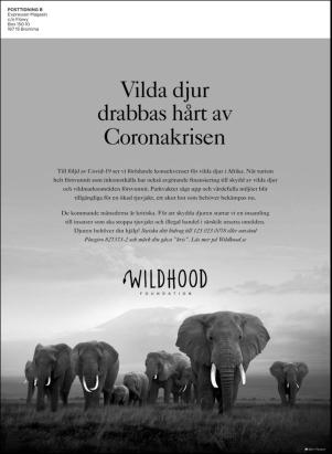 levaochbo-20200911_000_00_00_084.pdf