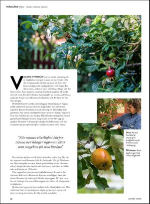 levaochbo-20200918_000_00_00_056.pdf