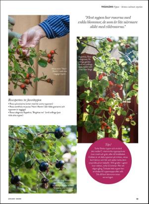 levaochbo-20200918_000_00_00_059.pdf