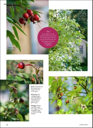 levaochbo-20200918_000_00_00_060.pdf