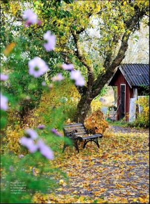 levaochbo-20200925_000_00_00_064.pdf