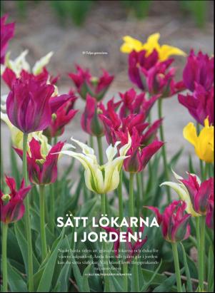 levaochbo-20200925_000_00_00_066.pdf