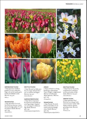 levaochbo-20200925_000_00_00_067.pdf