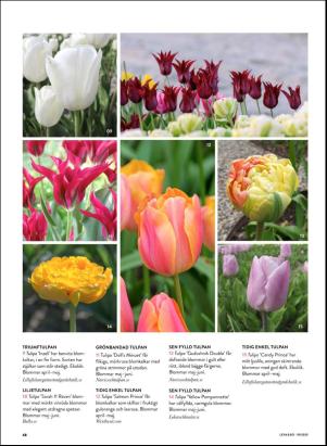 levaochbo-20200925_000_00_00_068.pdf