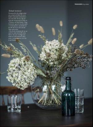 levaochbo-20201002_000_00_00_065.pdf