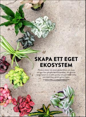 levaochbo-20201009_000_00_00_046.pdf