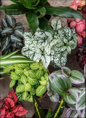 levaochbo-20201009_000_00_00_050.pdf