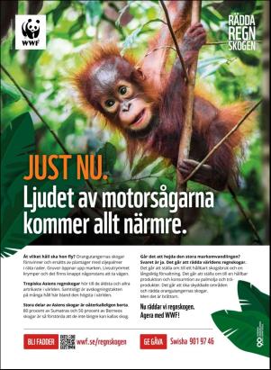 levaochbo-20201030_000_00_00_077.pdf