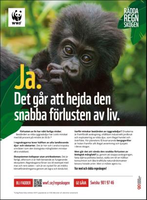 levaochbo-20201106_000_00_00_074.pdf