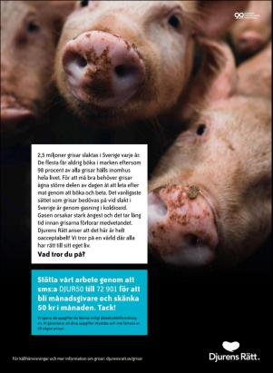 levaochbo-20201113_000_00_00_083.pdf