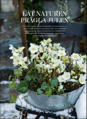 levaochbo-20201120_000_00_00_058.pdf