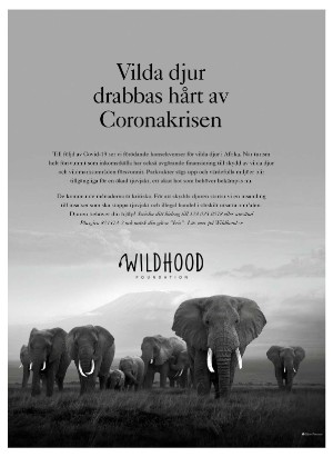 levaochbo-20201218_000_00_00_046.pdf