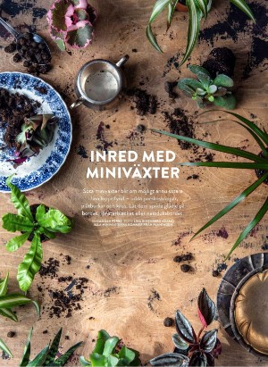 levaochbo-20210101_000_00_00_058.pdf