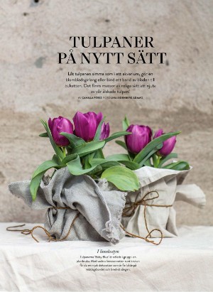 levaochbo-20210108_000_00_00_046.pdf