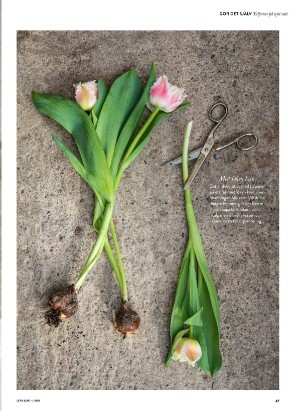 levaochbo-20210108_000_00_00_047.pdf