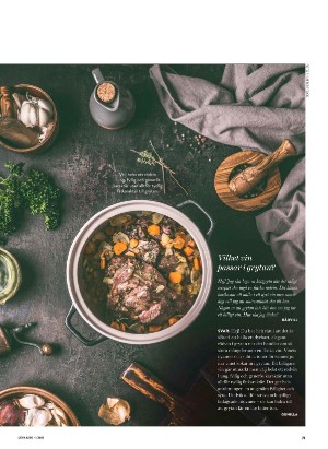 levaochbo-20210108_000_00_00_071.pdf