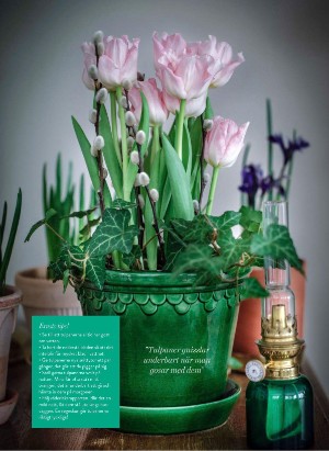 levaochbo-20210115_000_00_00_041.pdf