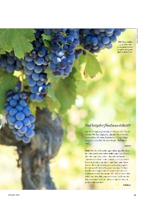 levaochbo-20210115_000_00_00_069.pdf