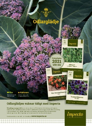 levaochbo-20210205_000_00_00_017.pdf