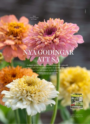 levaochbo-20210205_000_00_00_048.pdf