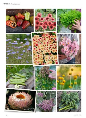 levaochbo-20210205_000_00_00_050.pdf