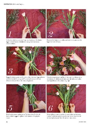 levaochbo-20210205_000_00_00_054.pdf