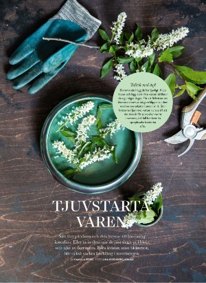 levaochbo-20210219_000_00_00_038.pdf